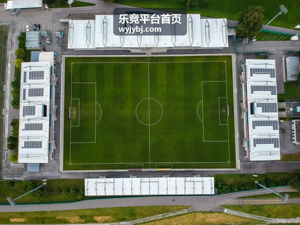 乐竞平台首页行业观察条目：志愿者岗位调配